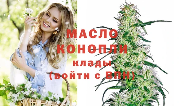 тгк Армянск
