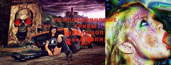 тгк Аркадак
