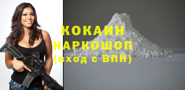 молекула духа Козельск