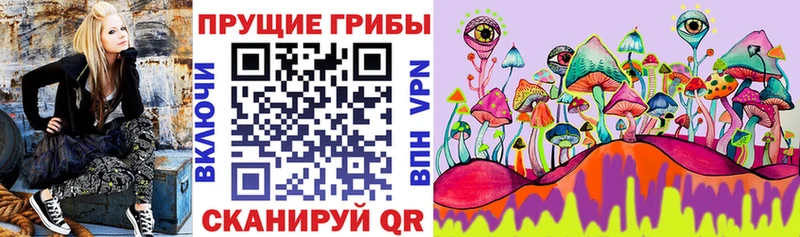 мега ссылки  Минеральные Воды  Псилоцибиновые грибы мухоморы 